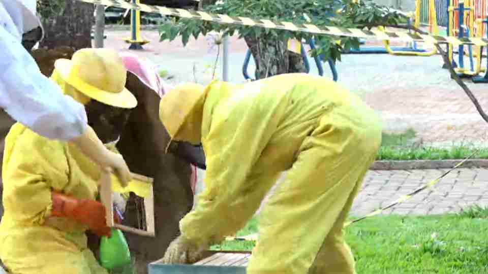 Imagem Últimas Notícias