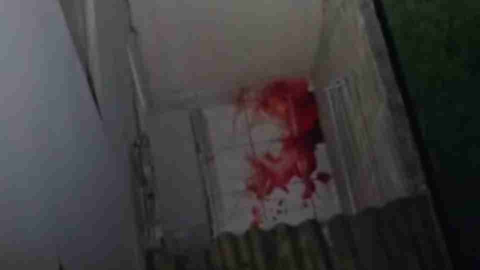 Imagem Últimas Notícias