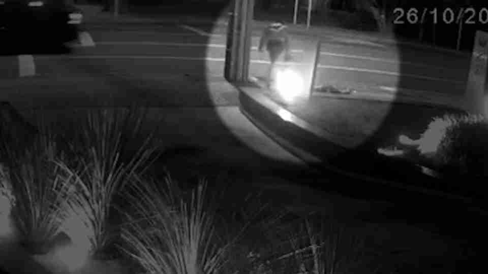 Imagem Últimas Notícias