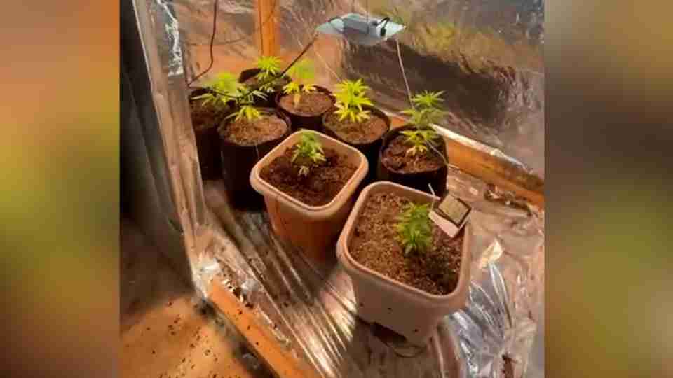 Imagem Últimas Notícias