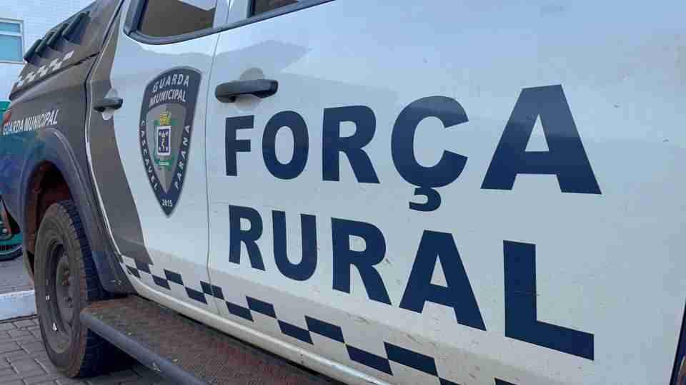 Imagem Últimas Notícias