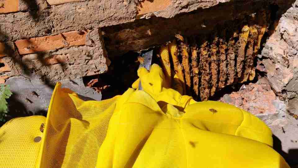 Imagem Últimas Notícias