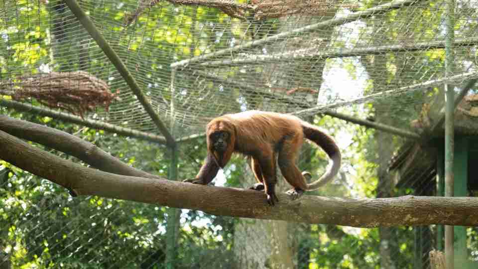 Imagem Últimas Notícias