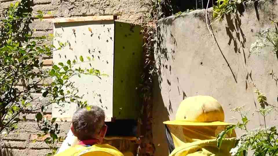 Imagem Últimas Notícias