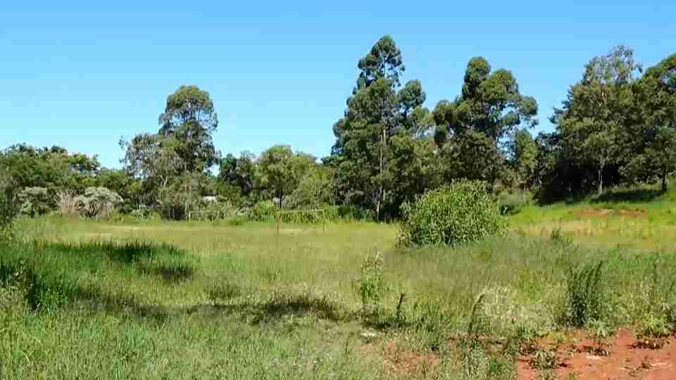 Imagem Últimas Notícias