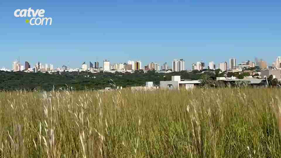 Imagem Últimas Notícias