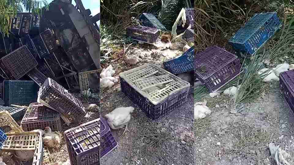 Imagem Últimas Notícias