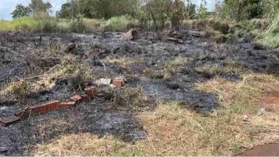 Imagem Últimas Notícias