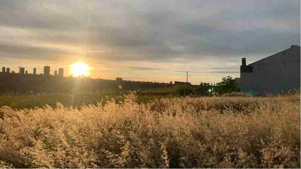 Imagem Últimas Notícias