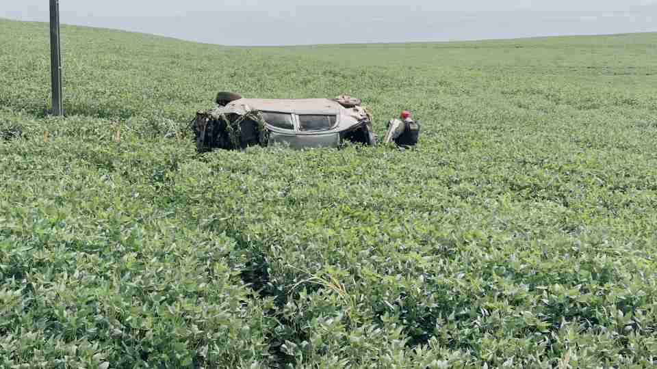 Imagem Últimas Notícias