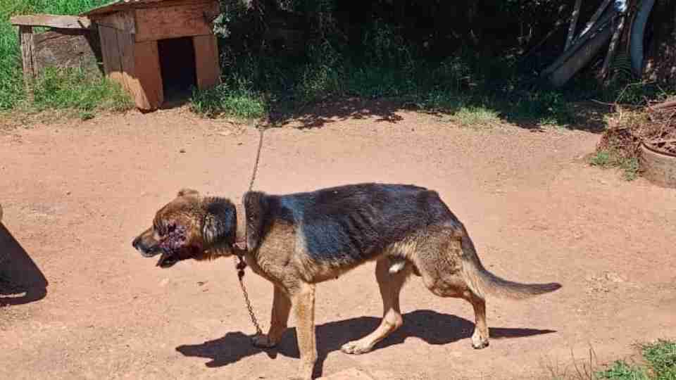 Imagem Últimas Notícias