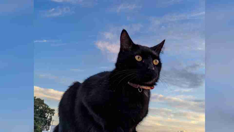 Imagem Últimas Notícias