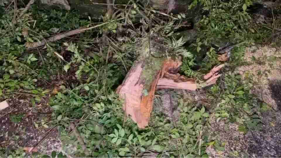 Imagem Últimas Notícias