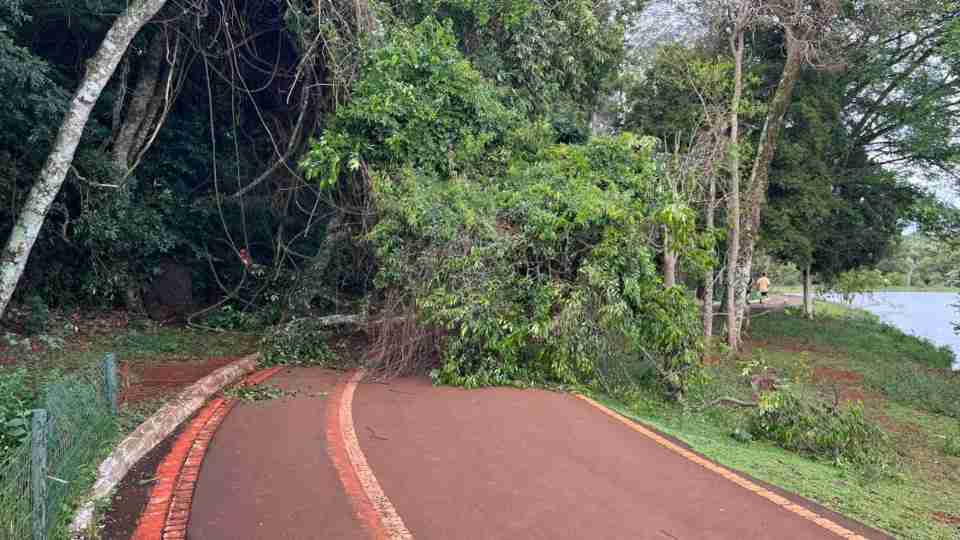 Imagem Últimas Notícias