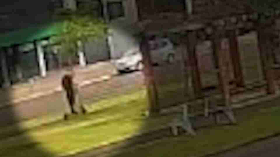 Imagem Últimas Notícias