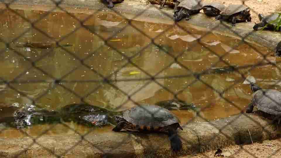 Imagem Últimas Notícias