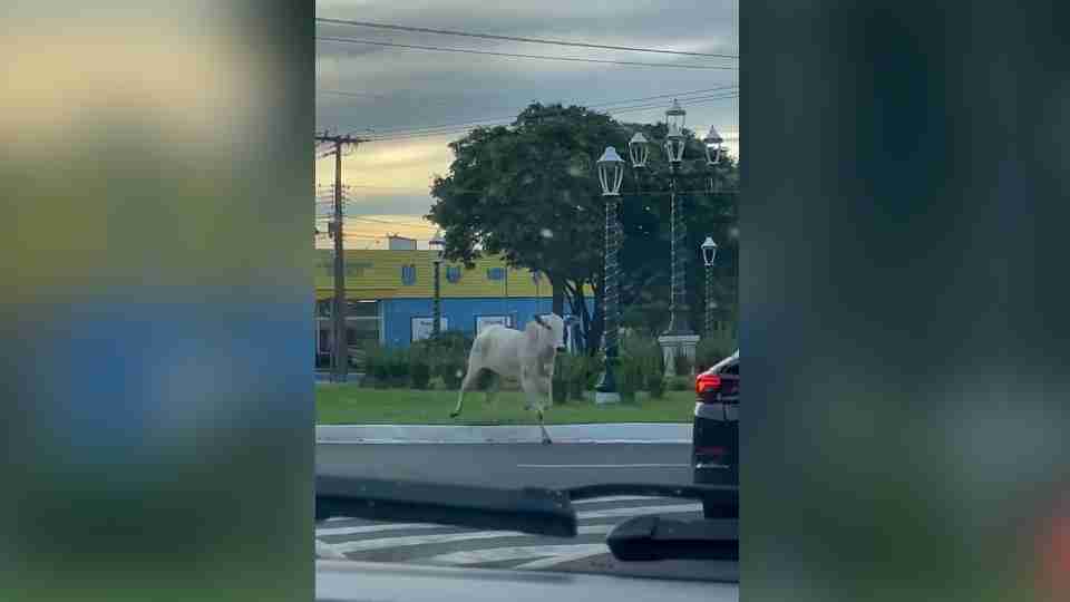 Imagem Últimas Notícias