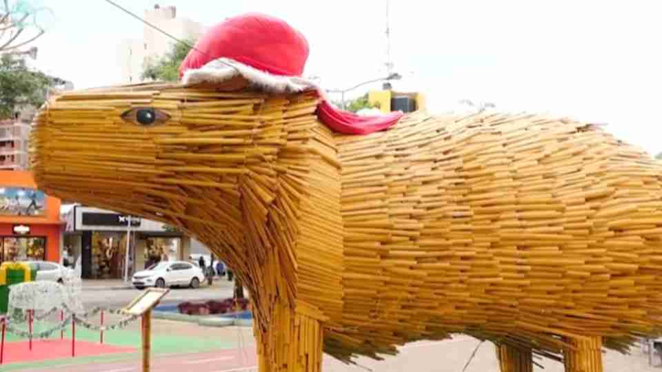 Imagem Últimas Notícias