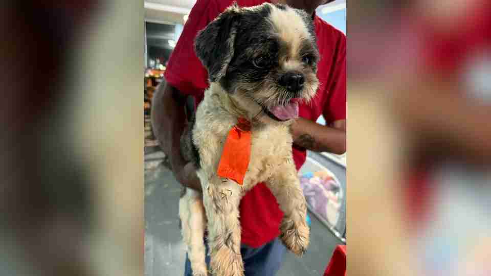 Imagem Últimas Notícias