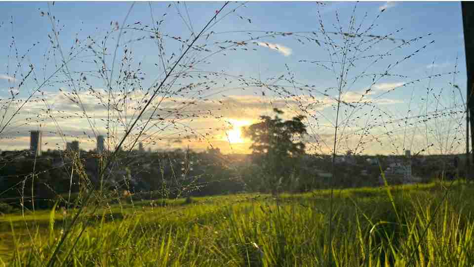 Imagem Últimas Notícias