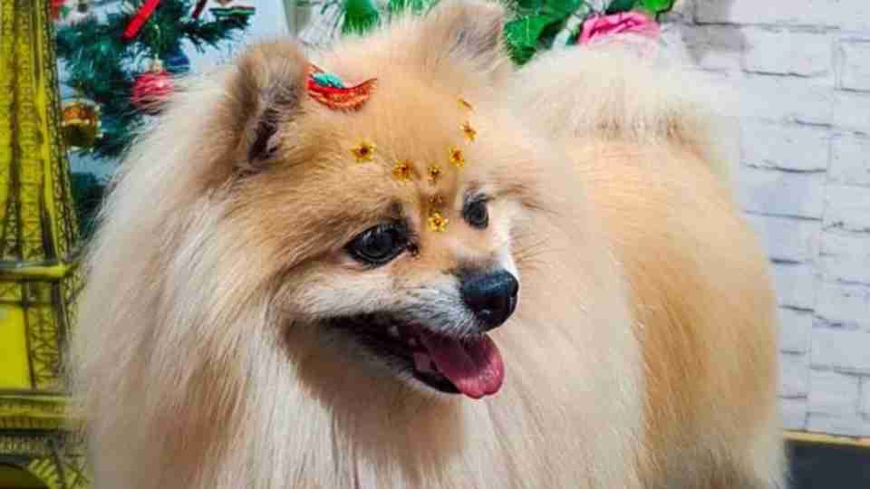 Imagem Últimas Notícias