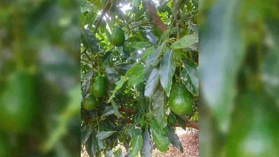 Imagem Últimas Notícias