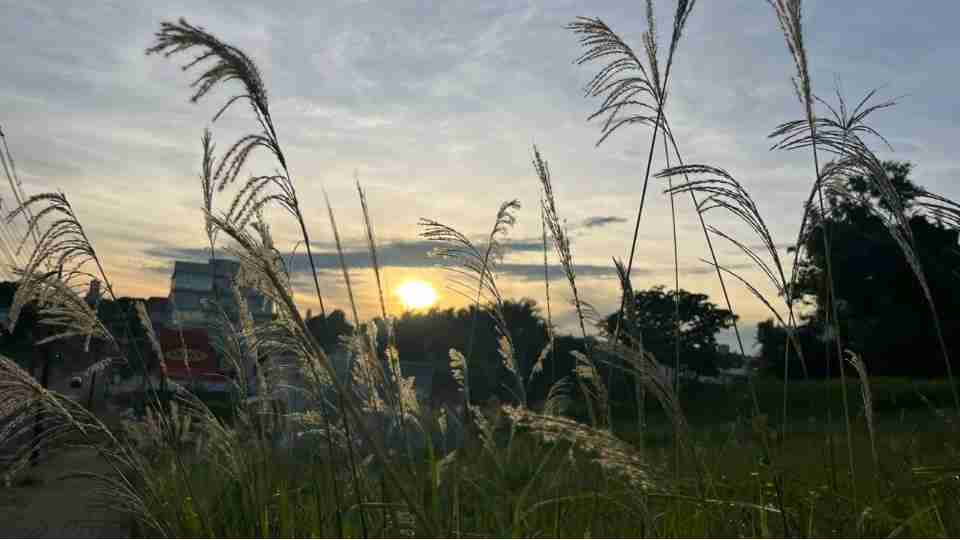 Imagem Últimas Notícias