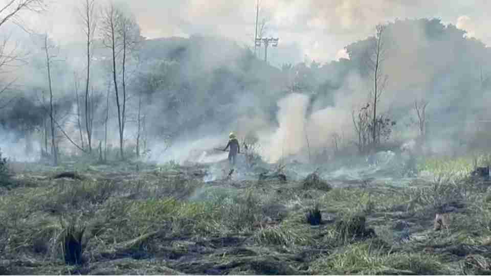 Imagem Últimas Notícias