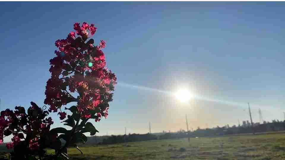 Imagem Últimas Notícias