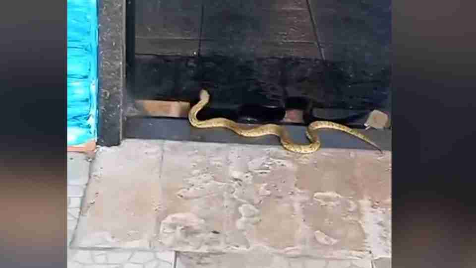 Imagem Últimas Notícias