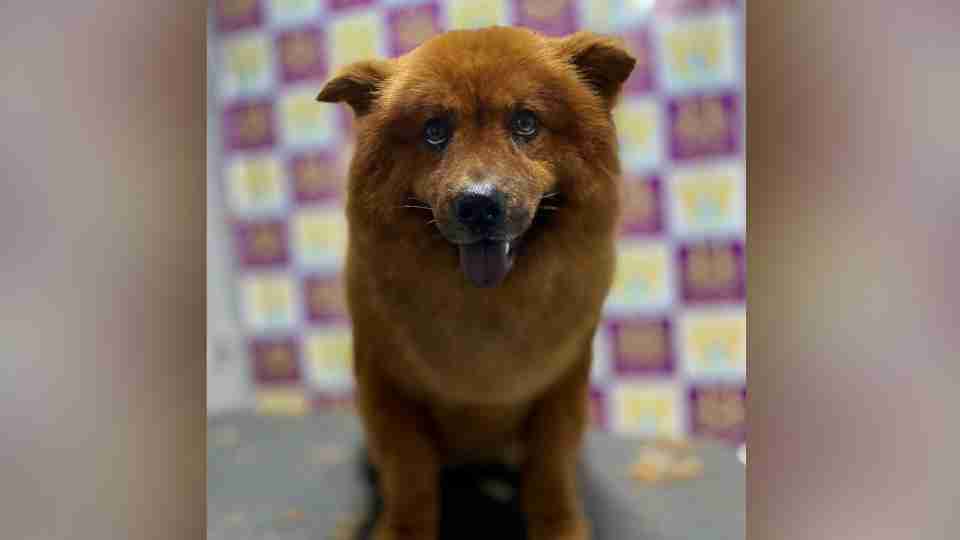 Imagem Últimas Notícias