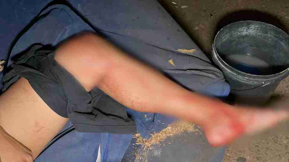 Imagem Últimas Notícias