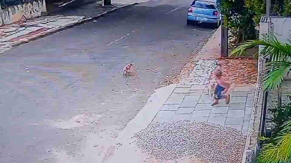 Imagem Últimas Notícias