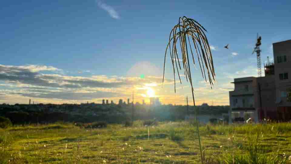 Imagem Últimas Notícias