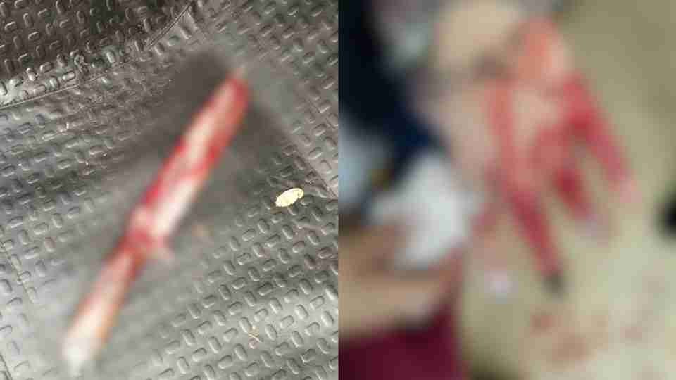 Imagem Últimas Notícias