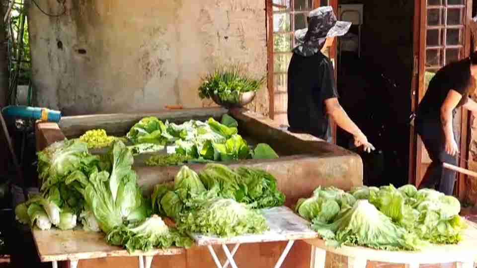 Imagem Últimas Notícias