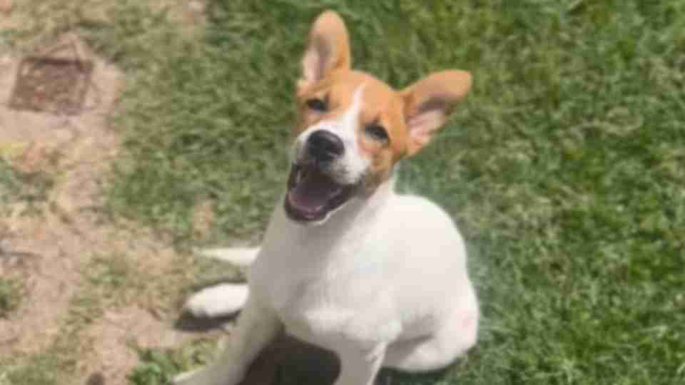 Imagem Últimas Notícias