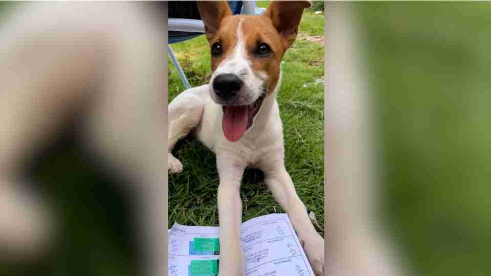 Imagem Últimas Notícias