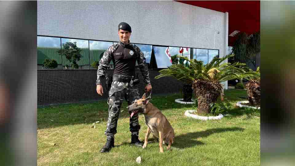 Imagem Últimas Notícias