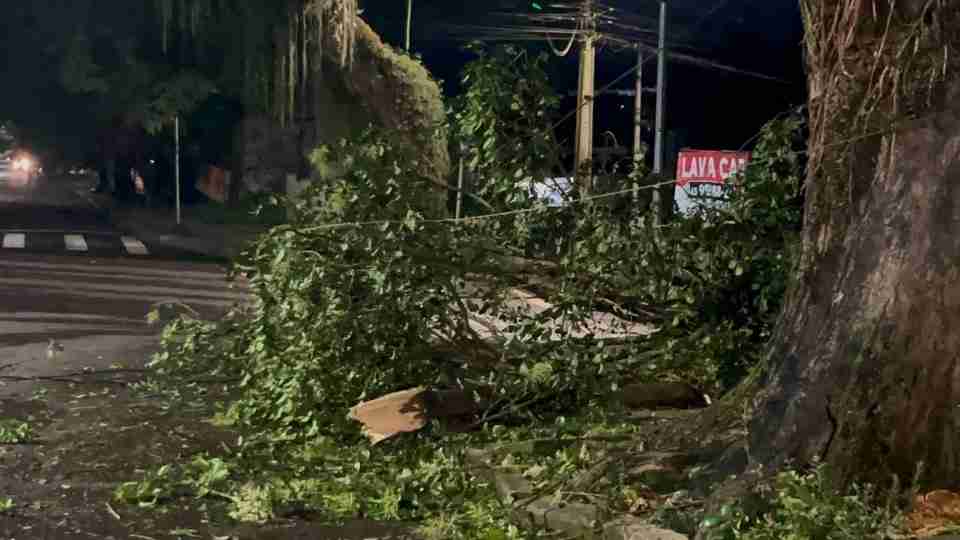 Imagem Últimas Notícias