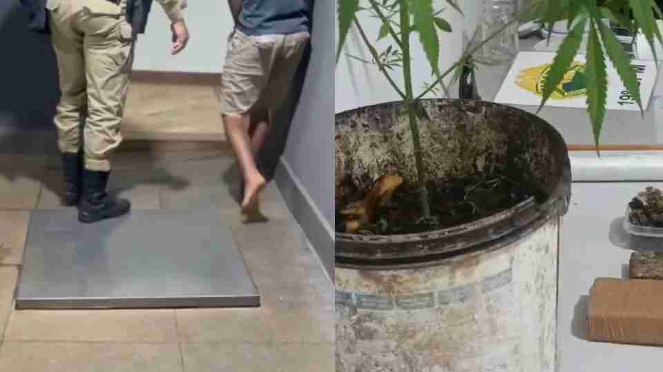 Imagem Últimas Notícias