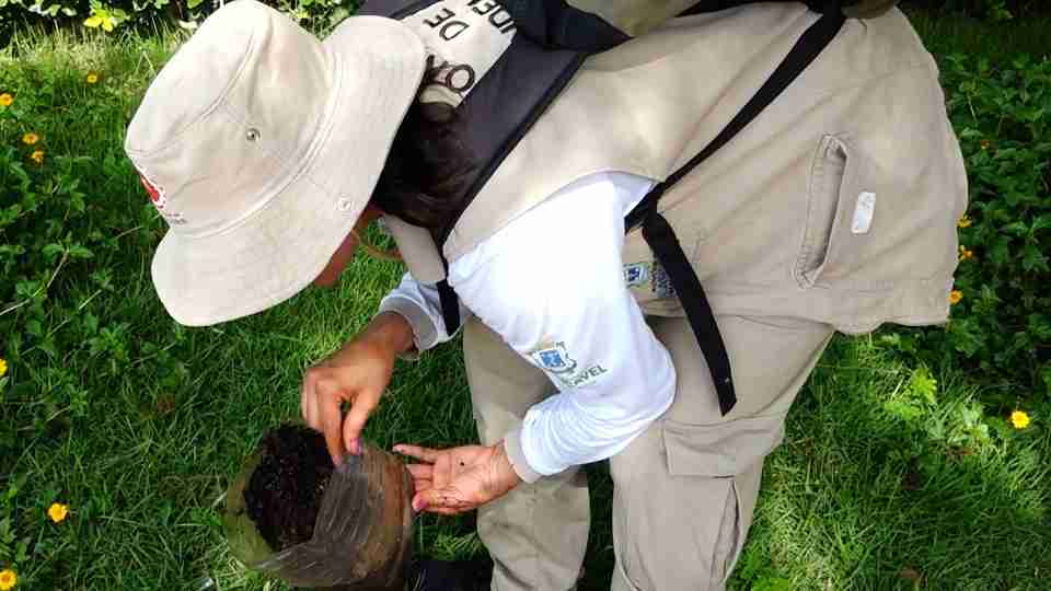 Imagem Últimas Notícias