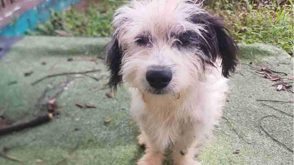 Imagem Últimas Notícias