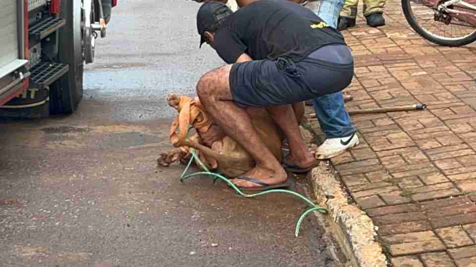 Imagem Últimas Notícias