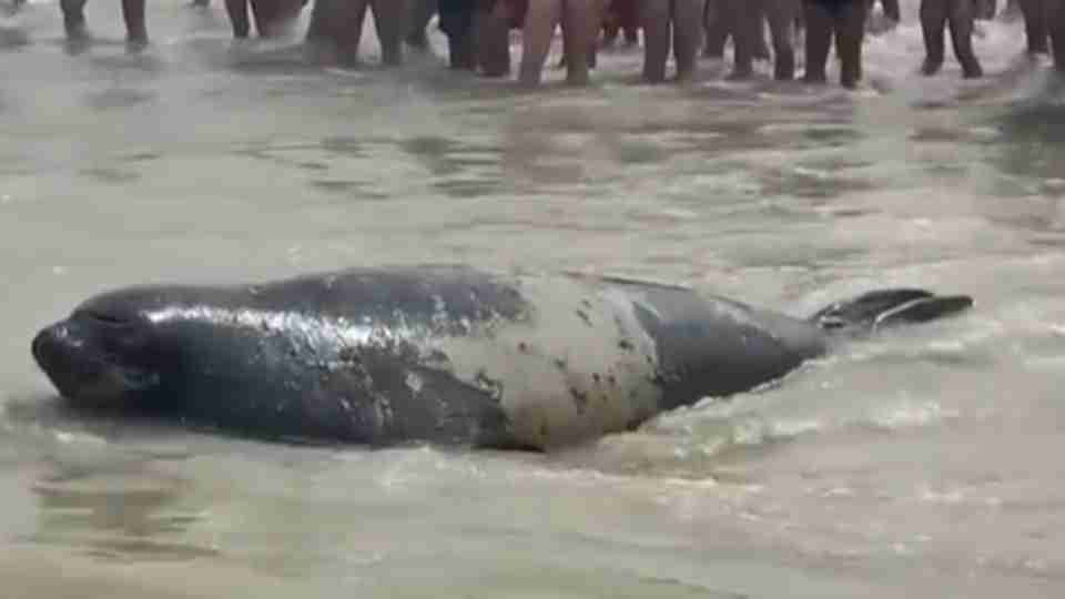 Imagem Últimas Notícias