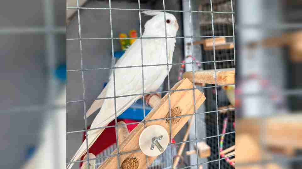 Imagem Últimas Notícias