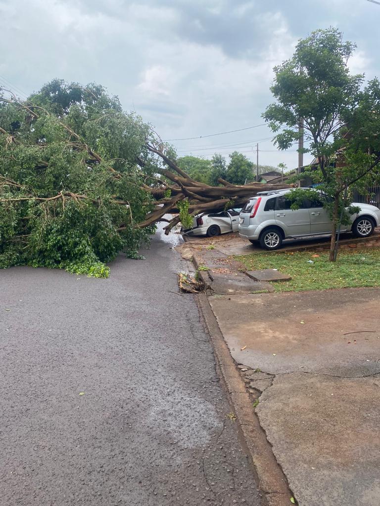 Imagens mostram danos causados por temporal em Cascavel