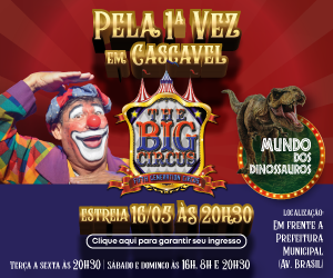 THE BIG CIRCUS